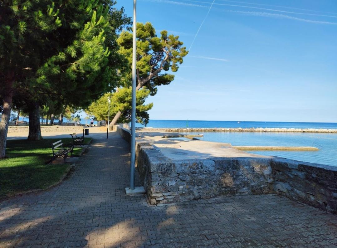 Apartments Novigrad Novigrad Istria Exteriör bild